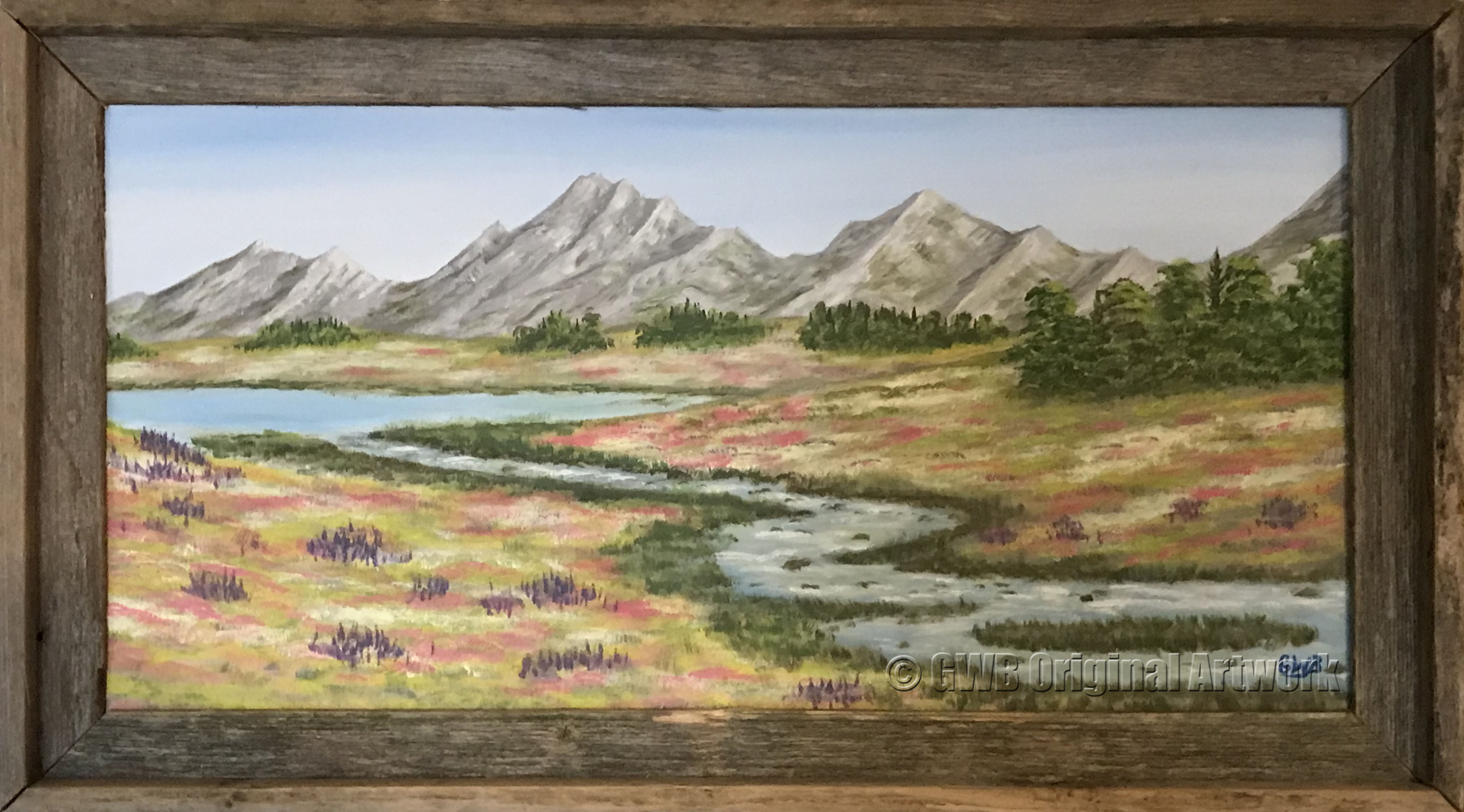 Scenic Vista
