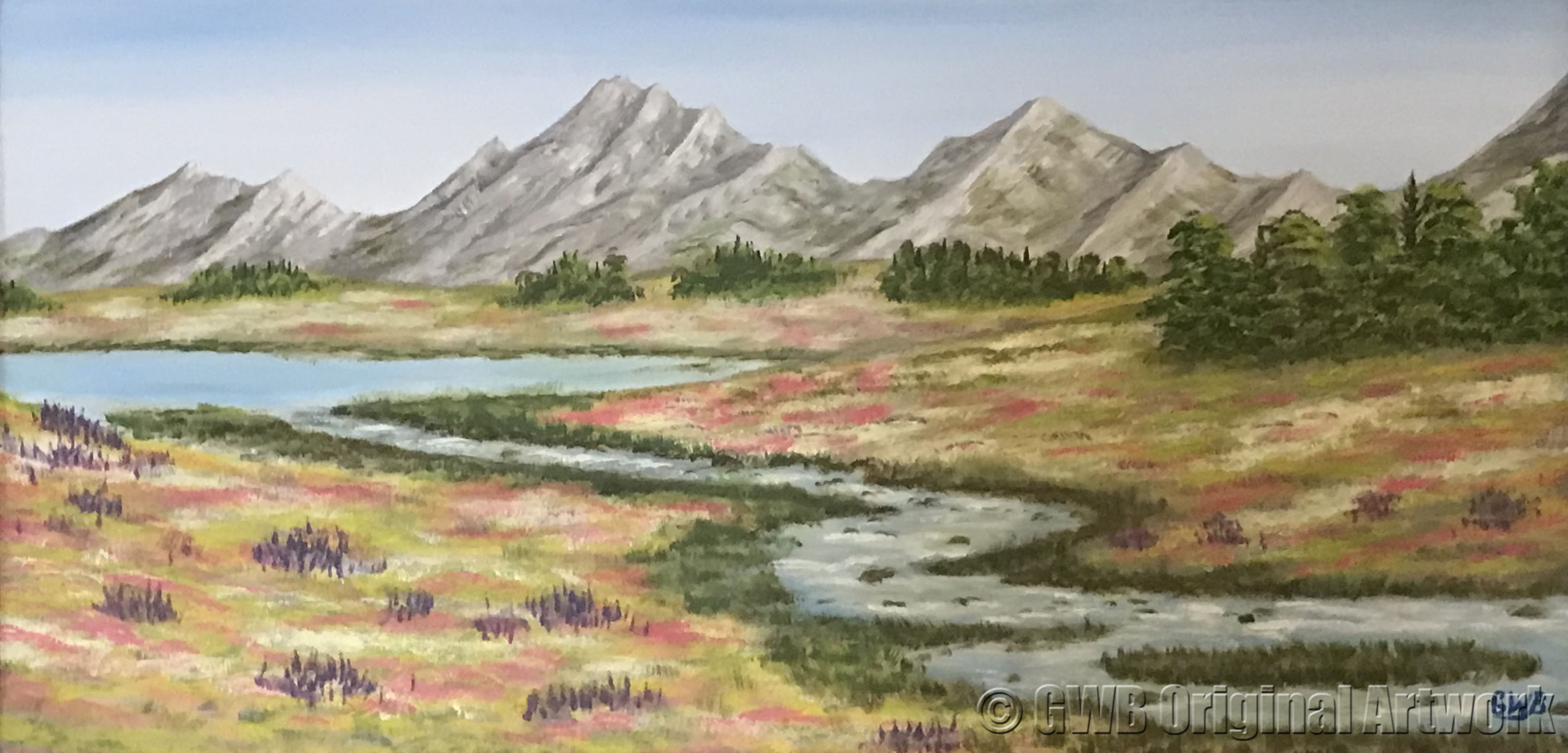 Scenic Vista