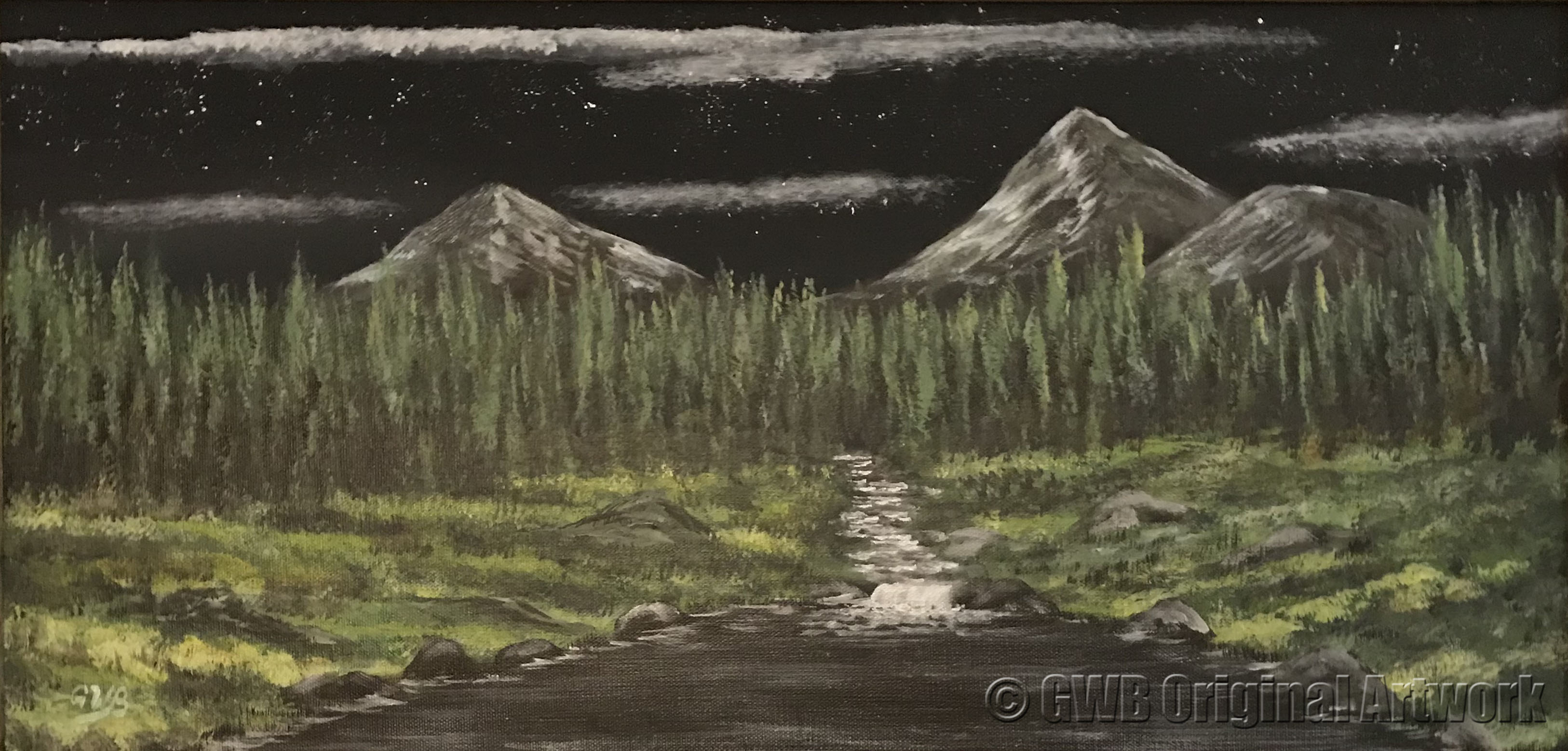 Nighttime Landscape